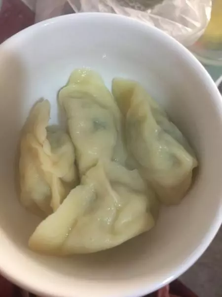 韭菜猪肉虾仁饺子