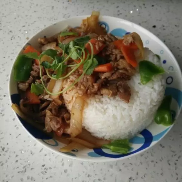 孜然羊肉飯