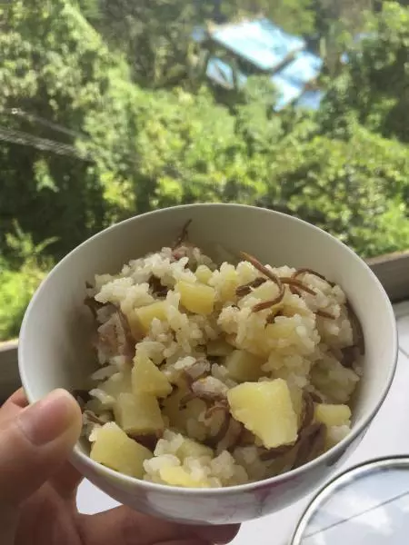 电饭锅油鸡纵火腿土豆焖饭