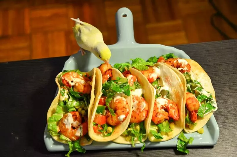 墨西哥夹饼Shrimp Taco