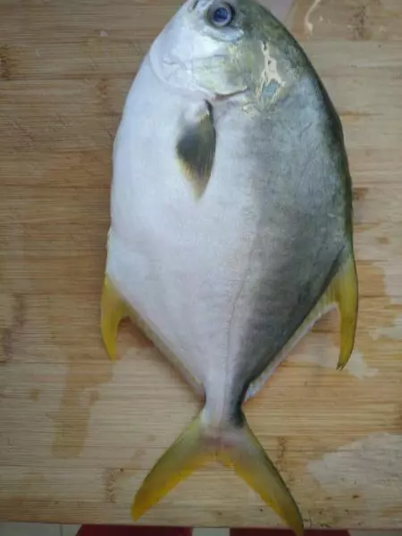 紅燒金鯧魚