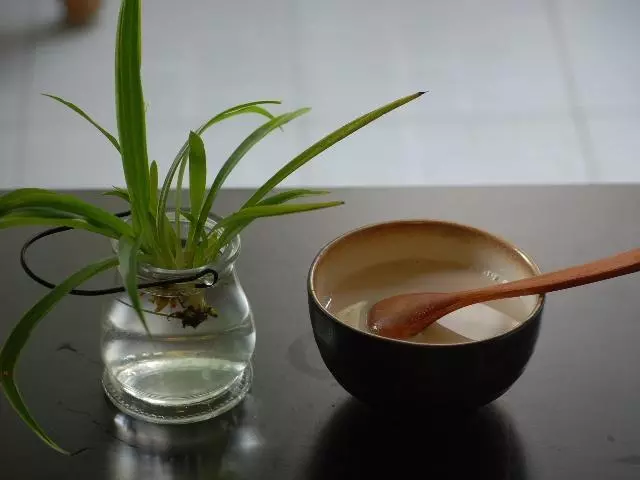 素奶茶（红茶豆浆）