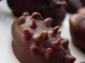 毛毛虫坚果巧克力豆