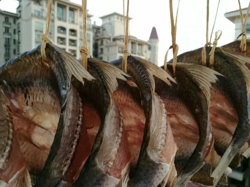 自製鯪魚乾