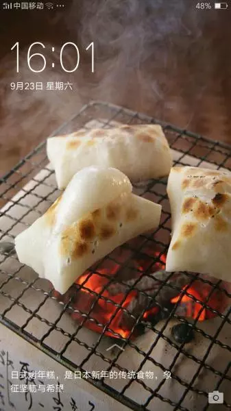 烤肉饭(烧烤饭)