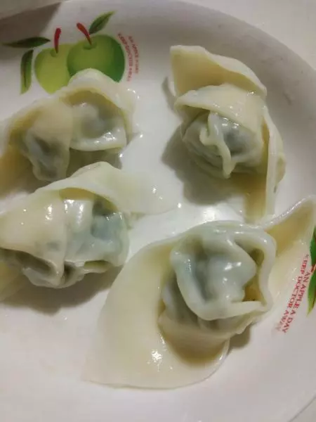 荠菜混沌