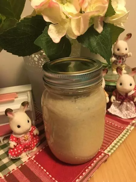 液態酸麵糰 Liquid Sourdough Starter