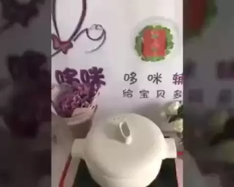 宝宝虾饺