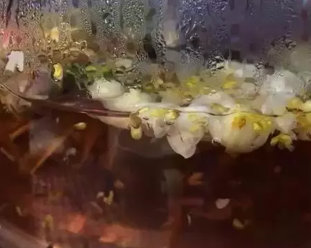 茉莉花果茶