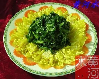 麵條菜拼菊花