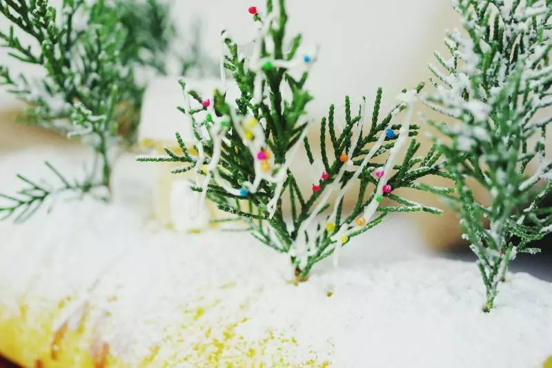 圣诞森林雪景蛋糕卷