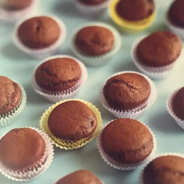 Chocolate Cupcakes