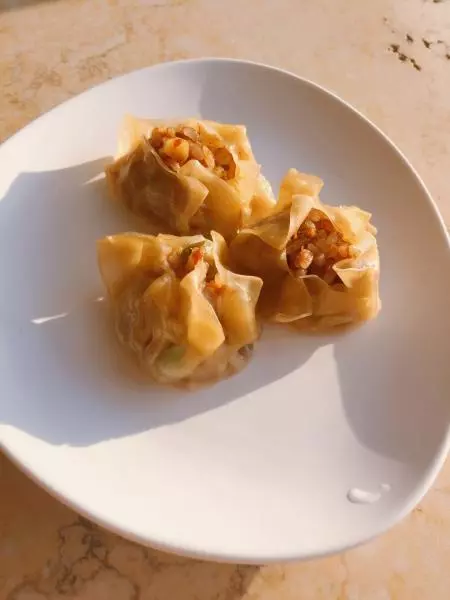 丑丑馄饨皮烧卖