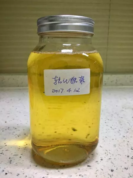 转化糖浆（Trimoline)