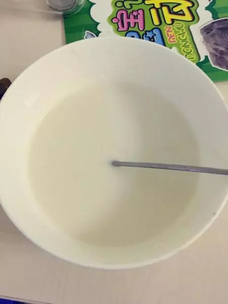 自製椰奶