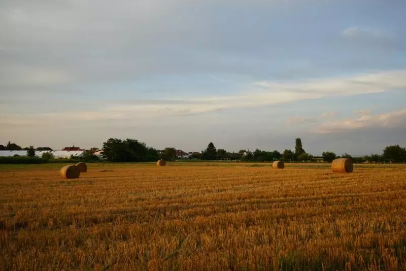 拾取一路風景