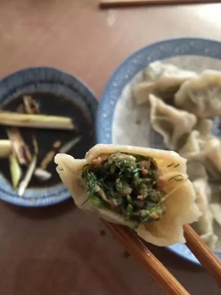 茴香馅儿水饺