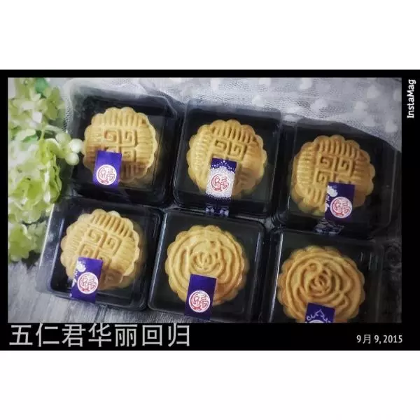 五仁月饼—华丽回归