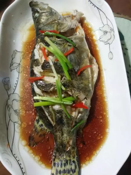 清蒸豉油桂魚