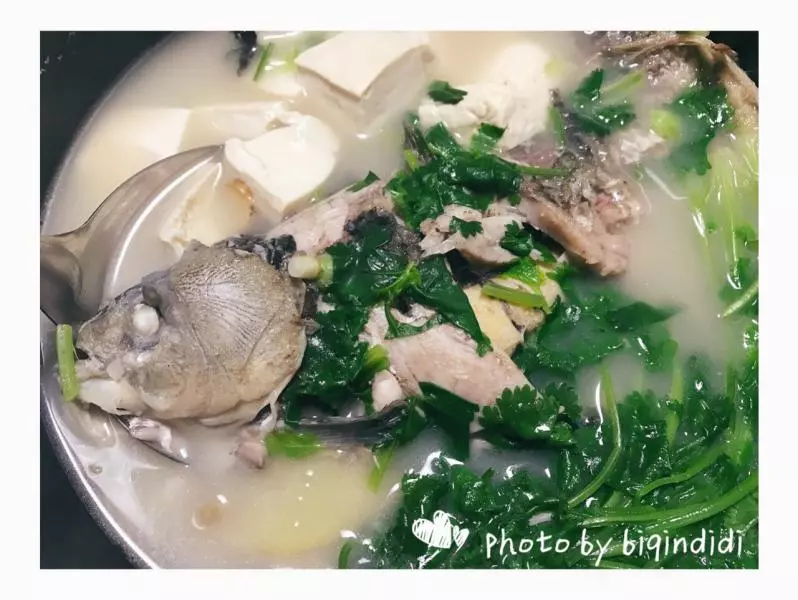 豆腐鯽魚湯（多圖）