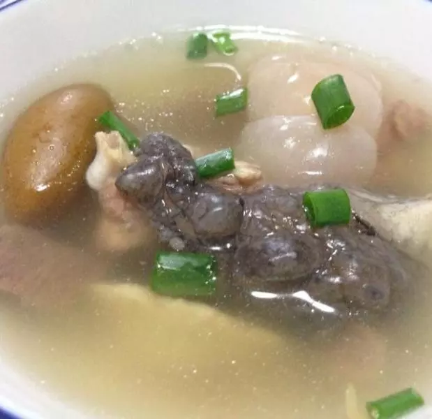 青欖鱷魚湯