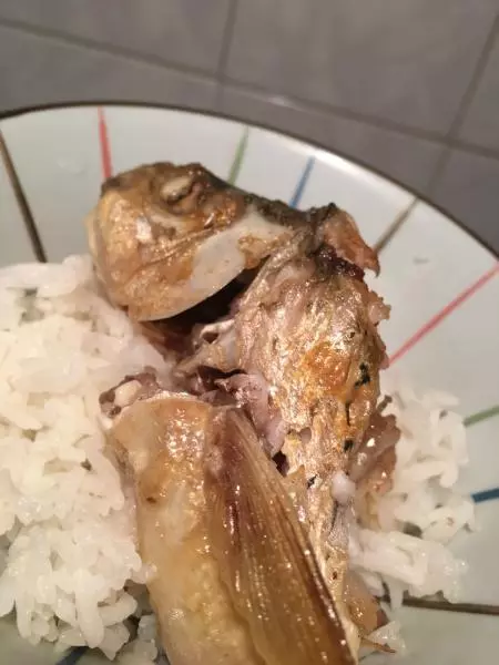 豆腐煮鱼