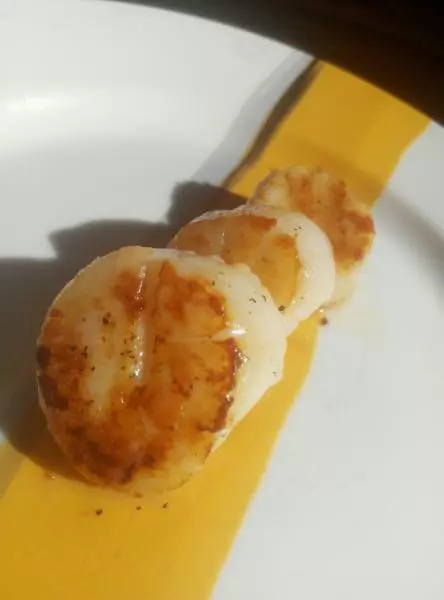 Pan seared scallop 香煎扇贝