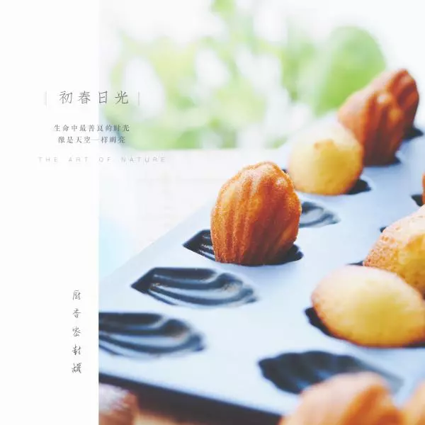 瑪德蓮 Madeleine （Pierre Herme的配方）