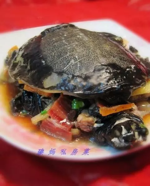 豉汁甲魚