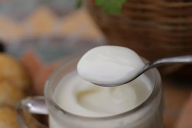 【美善品】自製酸奶