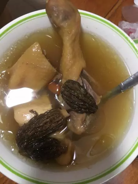 羊肚菌煲雞湯