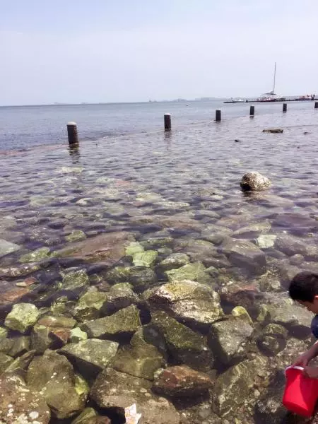 超美味海鮮雞湯