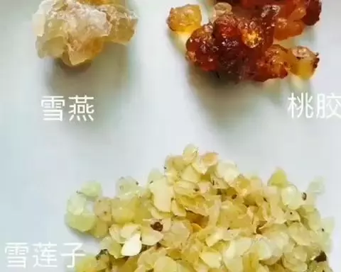 桃膠雪蓮子