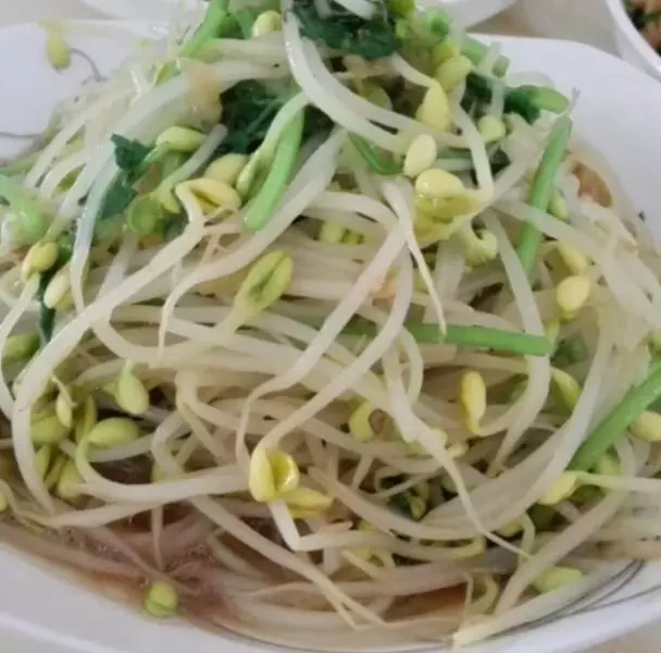 自发豆芽韭菜