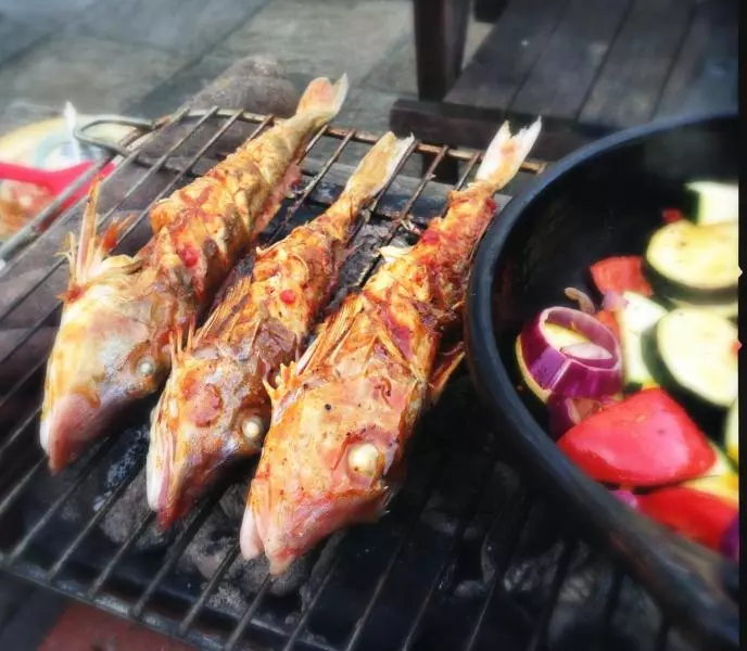 BBQ綠鰭魚