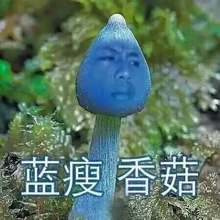 酸菜面