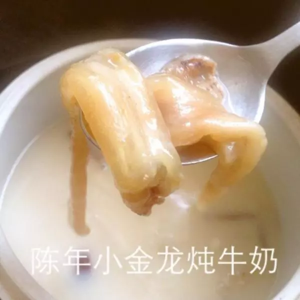 红枣银耳鱼胶炖鲜奶