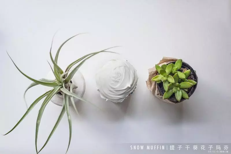 白雪提子乾葵花子瑪芬｜SNOW MUFFIN