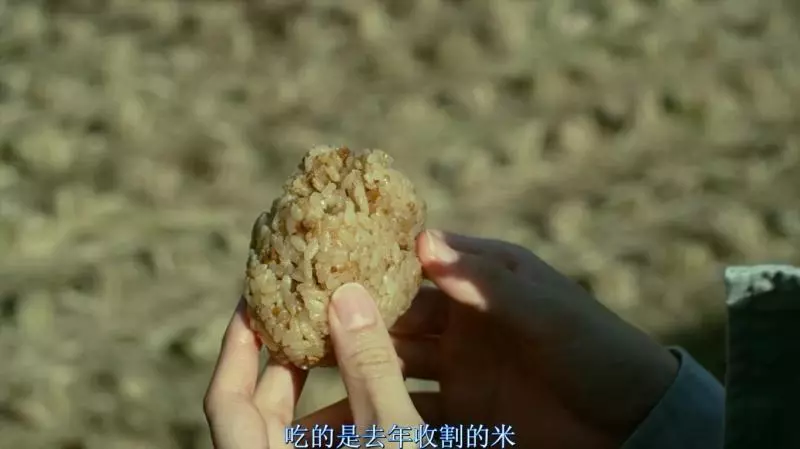 香香的核桃饭团