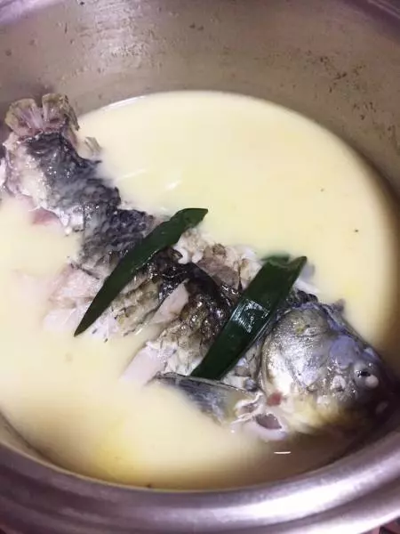奶白鱼汤