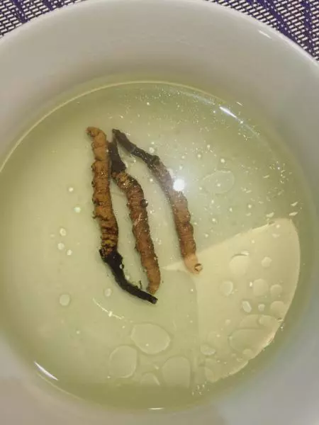 蟲草瘦肉湯