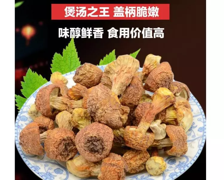 抗癌菌菇王?姬松茸