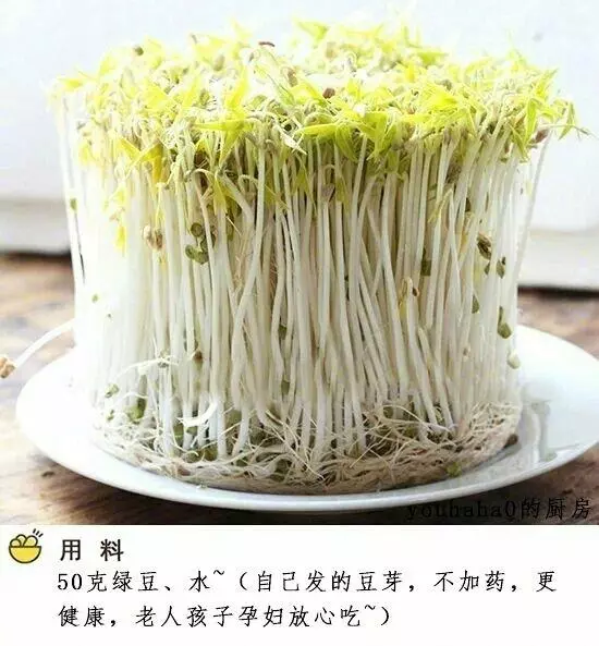 自製綠豆芽